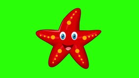 Cartoon animation sea star green screen background video