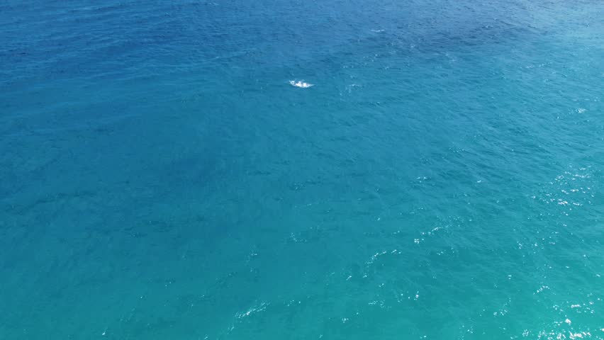 Tropical blue water of Caribbean Sea ocean sunny beautifu waters. Flying drone arial shot rocky and sandy beaches and beautiful waves. Perfect holiday travel exotic destination Curacao Aruba Bonaire