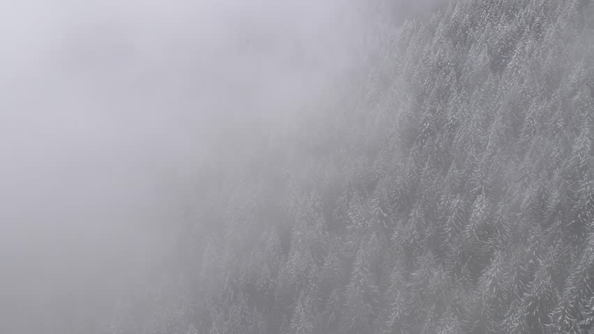 Flying through the clouds over a fresh snow covered forest in Oregon