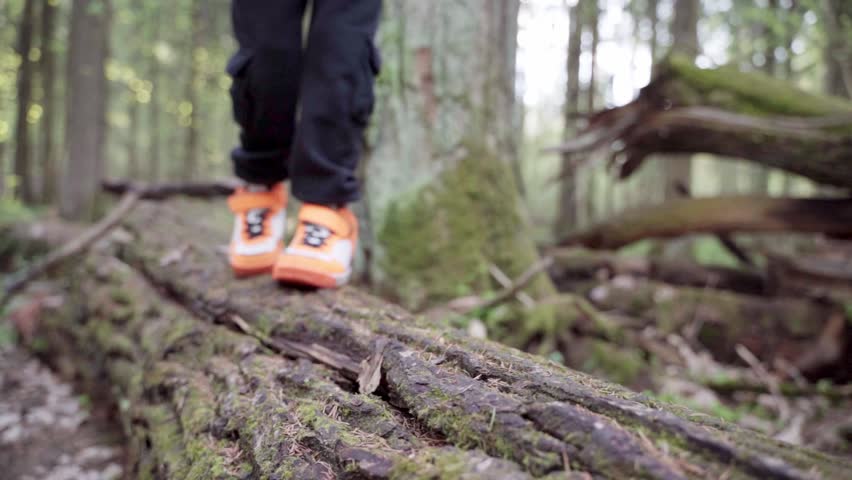 baby boy playing in the forest park. close-up child feet walking on a fallen tree log. happy family kid dream concept. a child in sneakers walks on a fallen tree in lifestyle park
 Royalty-Free Stock Footage #1105288499