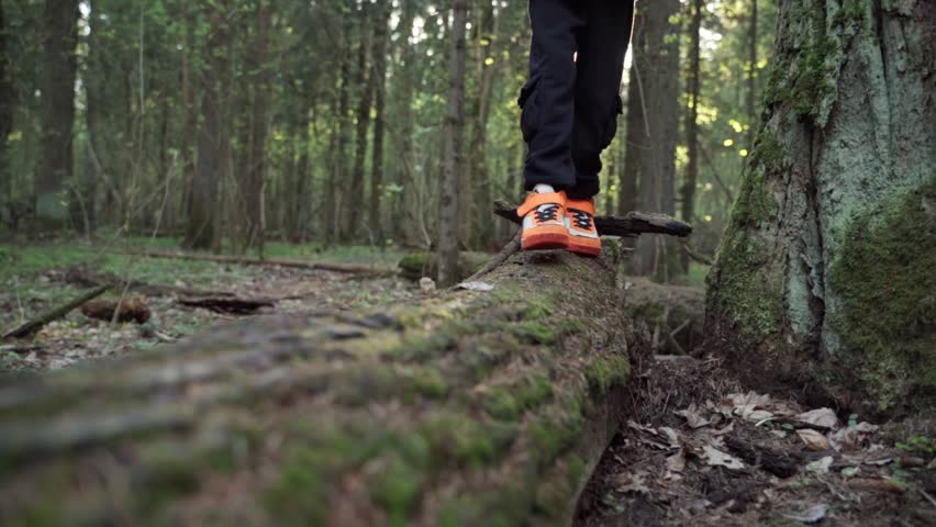 baby boy playing in the forest park. close-up child feet walking on a fallen tree log. happy family kid dream concept. a child in sneakers walks on a fallen tree in lifestyle park
 Royalty-Free Stock Footage #1105288501