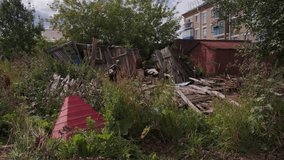 Collapsed wooden sheds. Clip. Ruined sheds with wooden sticks in overgrown grass in summer. Destroyed sheds near residential panel house