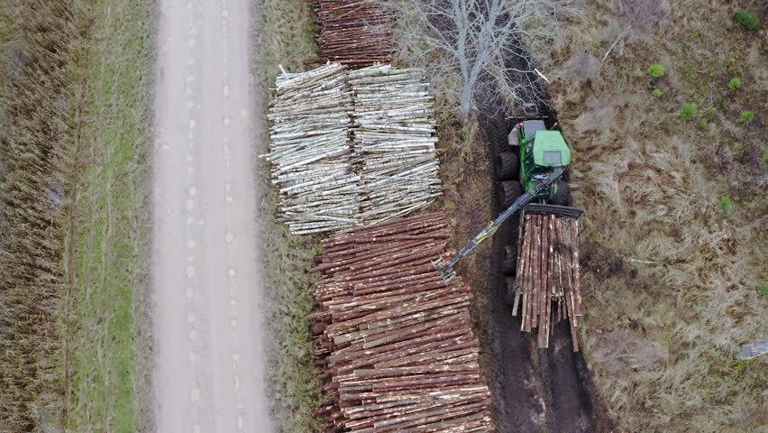 Aerial shot. Forest cutting area. Lumberjack working in a forest.