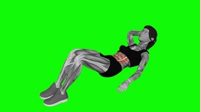 Alternate Oblique Crunch fitness exercise workout animation video female muscle highlight 4K - Powered by Shutterstock - Get 15% off with code: PIKWIZARD15