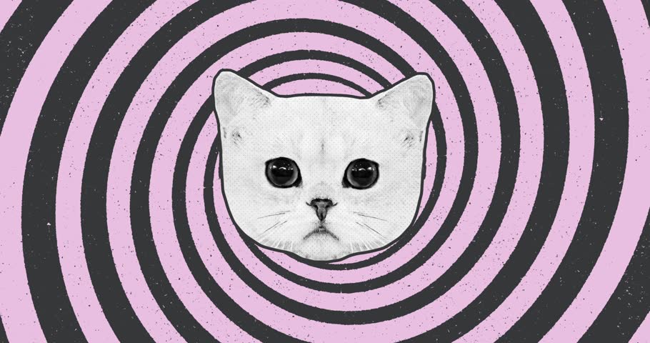 Cute cat blinking against the backdrop of a hypnotic spiral background with a grunge effect. Motion design concept animation. Art collage, magazine style. Royalty-Free Stock Footage #1105324283