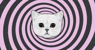 Cute cat blinking against the backdrop of a hypnotic spiral background with a grunge effect. Motion design concept animation. Art collage, magazine style.