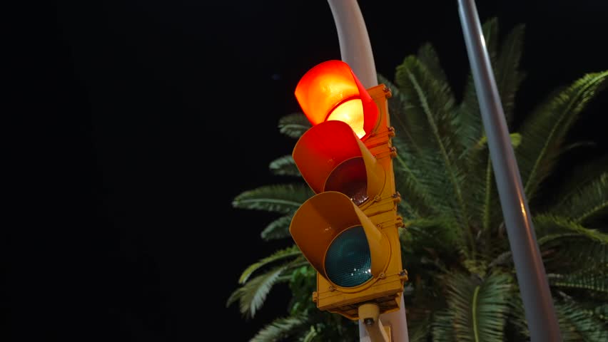 Close-up the traffic light on the pillar changes the light from red to green against the background of the palm tree at night