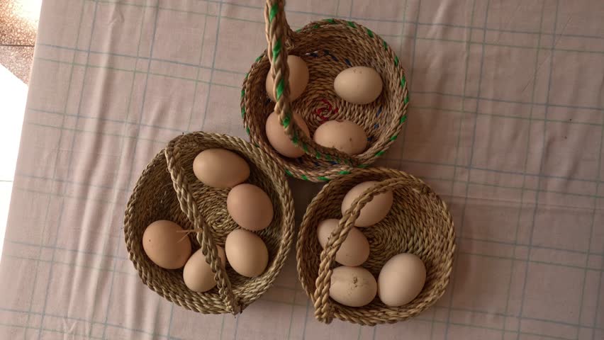 The concept behind "Don't put all your eggs in one basket" emphasizes the importance of diversification, risk management, and considering alternatives. It advises against relying solely on one option.