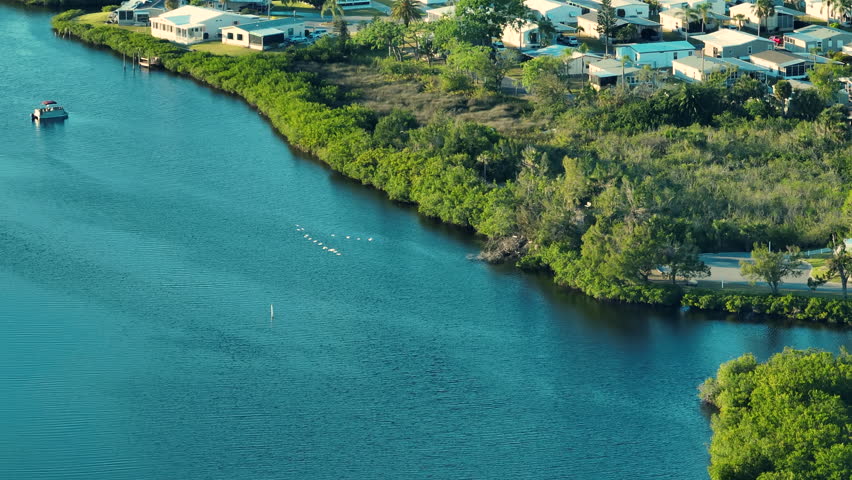 Aerial view of wildlife in natural habitat. Southern Florida wetlands with many white egret and heron wild birds on green shrubs between bay waters