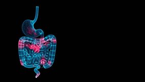 3D Gastrointestinal tract Scan. Organ Scanning Interface. HUD stomach analyze. Spread of temperature and pain through the human Gastrointestinal tract. Medical Science Anatomy. 3D animation 60 FPS - Powered by Shutterstock - Get 15% off with code: PIKWIZARD15