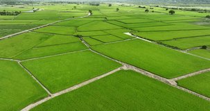 Aerial video of green farmland in Taiwan