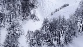 aerial beautiful snowy forest, from above, top view 
