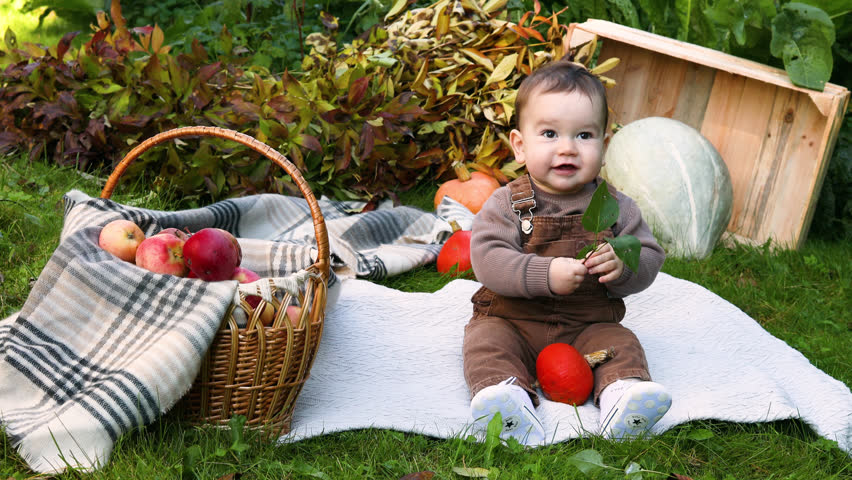 Cute small baby boy sitting near pumpkins and apples on sunny autumn day in garden. Kid trick or treating on Halloween. Family time at Thanksgiving and Halloween. Festive season in October.