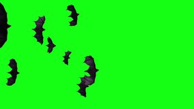 Bats flying making danger ghost hallowing symbol green screen chroma key.