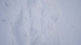 Boots leave footprints in the fresh snow. Walking or hiking in the winter season in the mountains or forest. Winter outdoor activities. Slow motion video. High quality Full HD footage