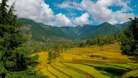 Natural Beauty and Beautiful Landscape Kashmir green beautiful destination Clip