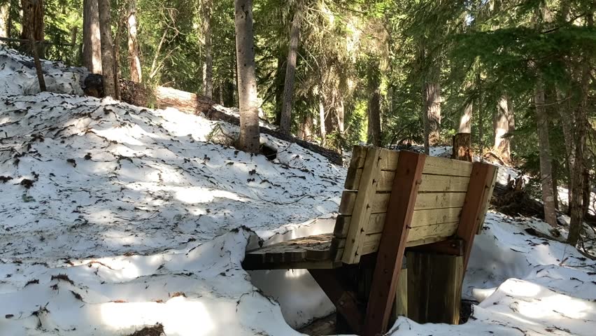 A female hiker treks through deep snow and evergreen with trekking poles in winter on the Rainy Lake Trail. A bench shows the scale of the snow - North Cascades National Park, Washington, USA