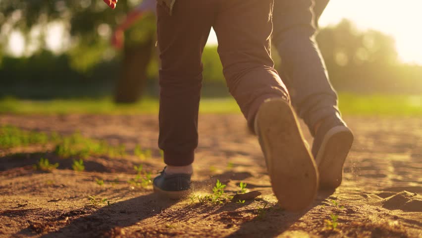 children in the park. group of children legs close up run in nature in the park silhouette hold hands. happy family kid dream concept. happy kids run lifestyle together silhouette