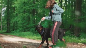 Girl playing with her Rottweiler dog with a dog toy in green forest in sunlight