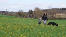 Mother with her little son and a dog Rottweiler run through a field with dandelions