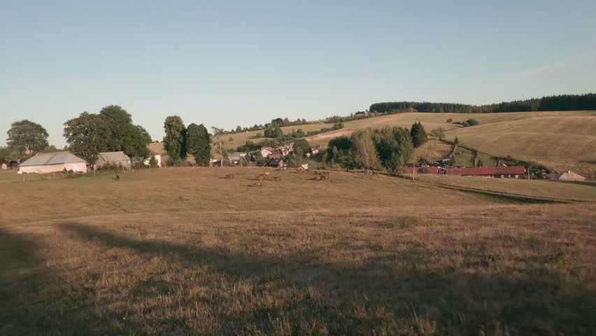 Captivating footage showcases the majestic Hucul ponies of Central Slovakia. From aerial views and the rustic charm of the rural landscape to up-close shots of these graceful creatures. LuPa Creative.