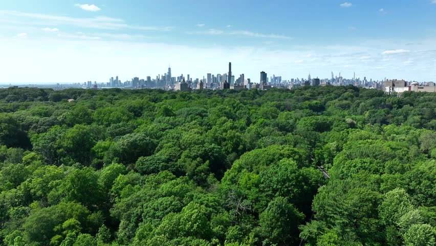 Prospect Park is an urban park in Brooklyn, New York City. Beautiful drone shot over thick green canopy of mature trees in summer. Sprawling NYC skyline in distance. Royalty-Free Stock Footage #1105463651