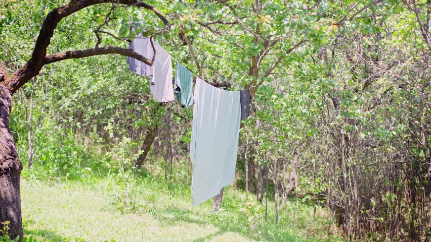 A cinematic slow-motion shot of laundry drying on a clothesline in the garden on a sunny summer day.