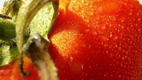 In a macro video with a probe lens, the focus is on capturing intricate details up close. Let's imagine a captivating scene featuring a ripe tomato adorned with droplets of water. Tomato background
