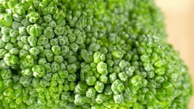 Stunning macro video of broccoli captured through a probe lens, revealing intricate textures, vibrant colors, and fascinating details. Vegetable concept. Broccoli background. 4K
