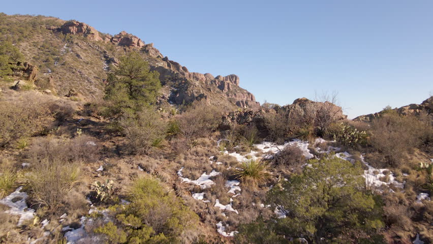 Aerial reveal over cactus, agave, juniper plants in desert snow into desert valley
