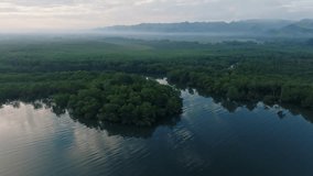 Drone view of great lake in Los Haitises National Park, Dominican Republic. 4K video