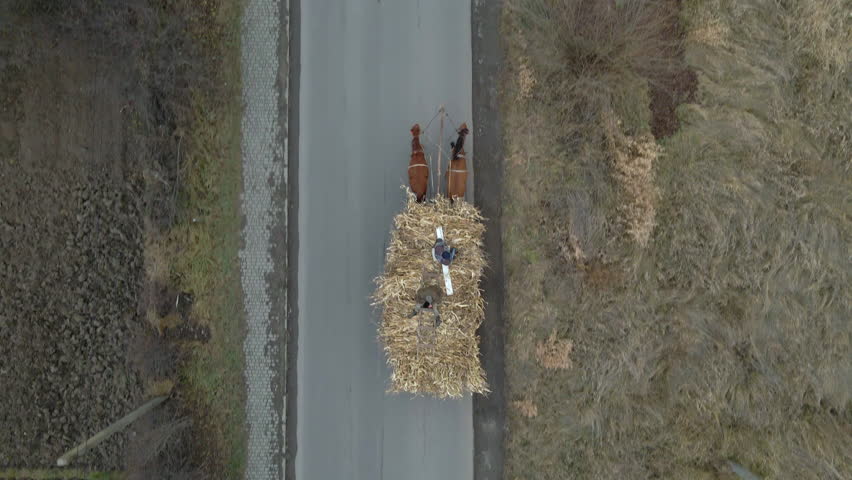 Aerial view of pair of horses pulling old wooden cart full of dry hay with peasant men on it