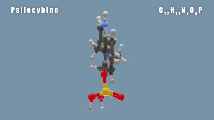 Psilocybine Of C12H17N2O4P 3D Conformer Animated Render. 
The major hallucinogenic alkaloid isolated from Psilocybe mushrooms Royalty-Free Stock Footage #1105508443