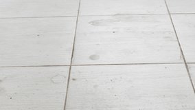 The dirty tiles were cleaned using a floor mop. - Powered by Shutterstock - Get 15% off with code: PIKWIZARD15