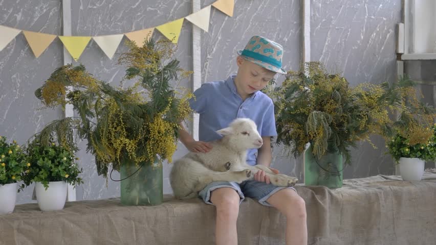 Boy Plays With A Goat