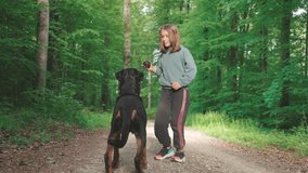 Girl trains her dog of the Rottweiler breed with a dog ball on a path in a green forest