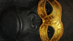 vertical video of gorilla mask 