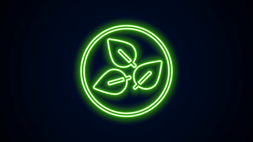 Glowing neon line Tea leaf icon isolated on black background. Tea leaves. 4K Video motion graphic animation. | Shutterstock HD Video #1105543819
