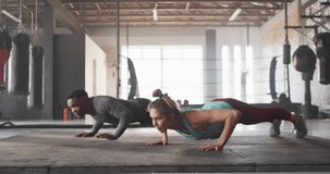 Animation of data processing over diverse man and woman doing push ups, exercising in boxing gym. Sports, competition, exercise and data processing concept digitally generated video.