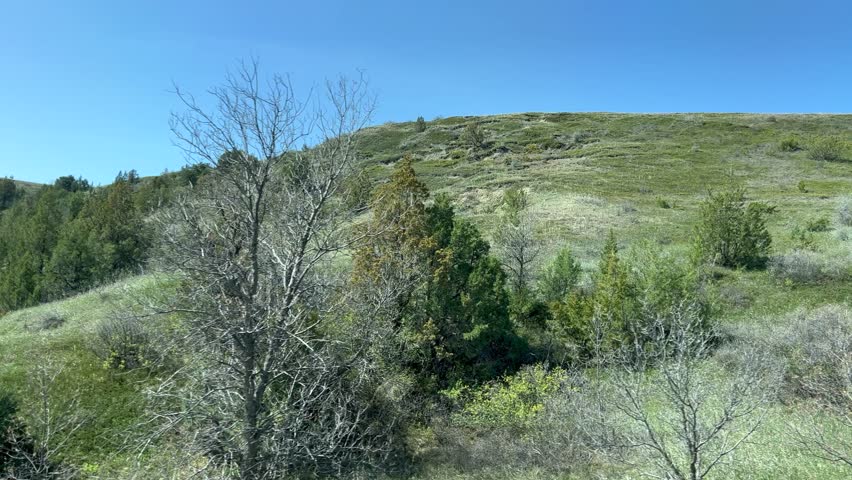 Driving through the badlands hills and mountains in Theodore Roosevelt National Park in North Dakota.