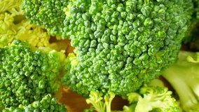 The video showcases the floret's tightly packed clusters of tiny green buds, each one resembling a miniature tree. The light dances across the broccoli, highlighting its vibrant hues. 4K Macro
