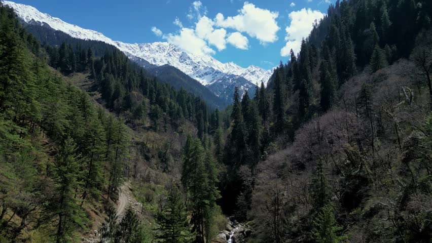 Parvati Valley by drone - Beautiful landscape of the Indian Himalayan Mountains - Pine trees with snowy mountain in the background - Himachal Pradesh - India Royalty-Free Stock Footage #1105583597