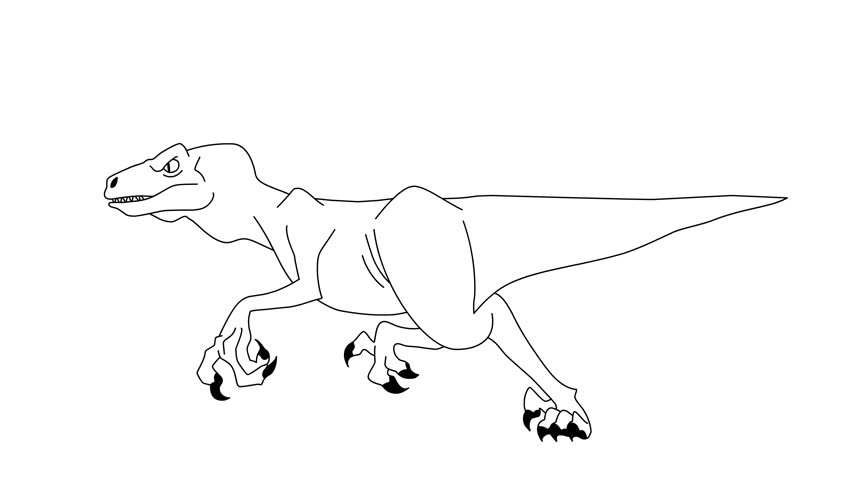 Dinosaur T-rex Running Animation Isolated On White Background