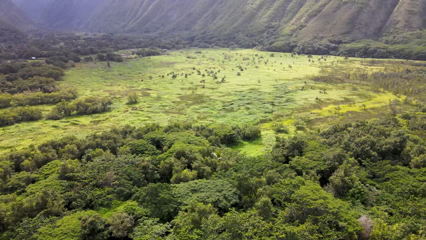 Cinematic drone reveal of Waipi