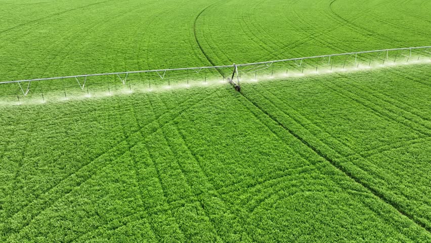 Aerial shot of the sprinklers watering Alfalfa on a circular farm in the Owens Valley in California