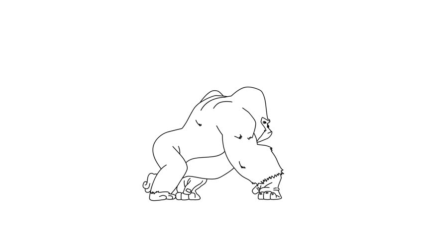 2d Hand Drawn Animation, Walking Gorilla Cartoon On Isolated White Background Royalty-Free Stock Footage #1105610857