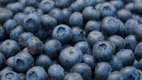 Fresh blueberries on a local street food market. Farming and agriculture concept. Vegan and vegetarian food - Powered by Shutterstock - Get 15% off with code: PIKWIZARD15