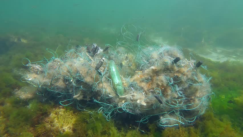Lost fishing net lies on seabed in green algae Ulva on shallow water in Black sea, Slow motion, Around movement. Ghost gear, fishing gear that has been abandoned, lost or otherwise discarded Royalty-Free Stock Footage #1105667893
