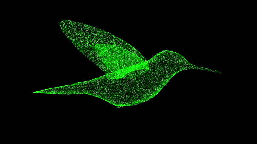 3D hummingbird rotates on black bg. Symbol of peace and prosperity. Wild animals concept. Protection of the environment. For title, text, presentation. 3d animation 60 FPS