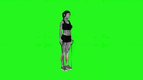 Band Two Legs Calf Raise - (Band under both legs) fitness exercise workout animation male muscle highlight demonstration at 4K resolution 60 fps crisp quality for websites, apps, blogs, social media e